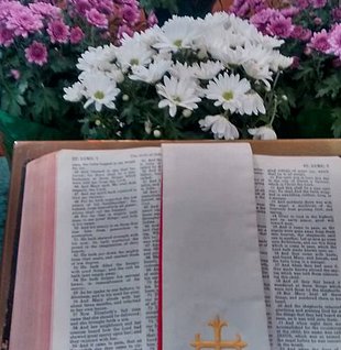 Bible.jpg